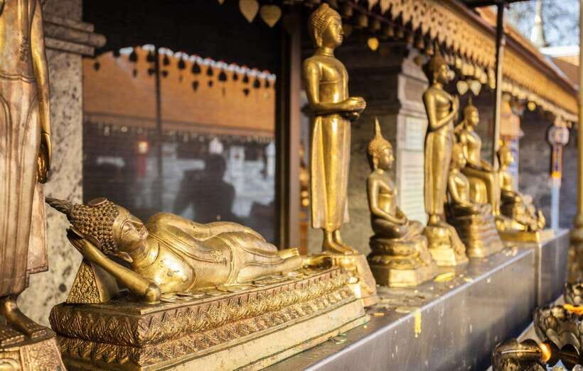 Chiang Mai - Doi Suthep Temple & Wat Pha Lat Hike - Who should book this experience?