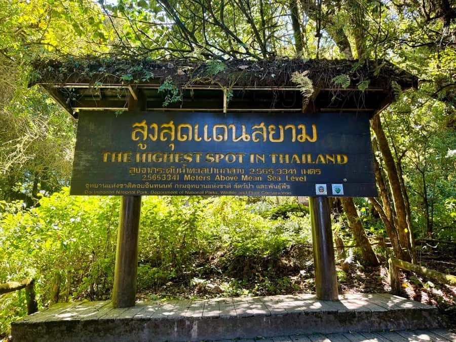 Chiang Mai Elephant Recovery Center, Doi Inthanon and Hiking - Key points to know before booking