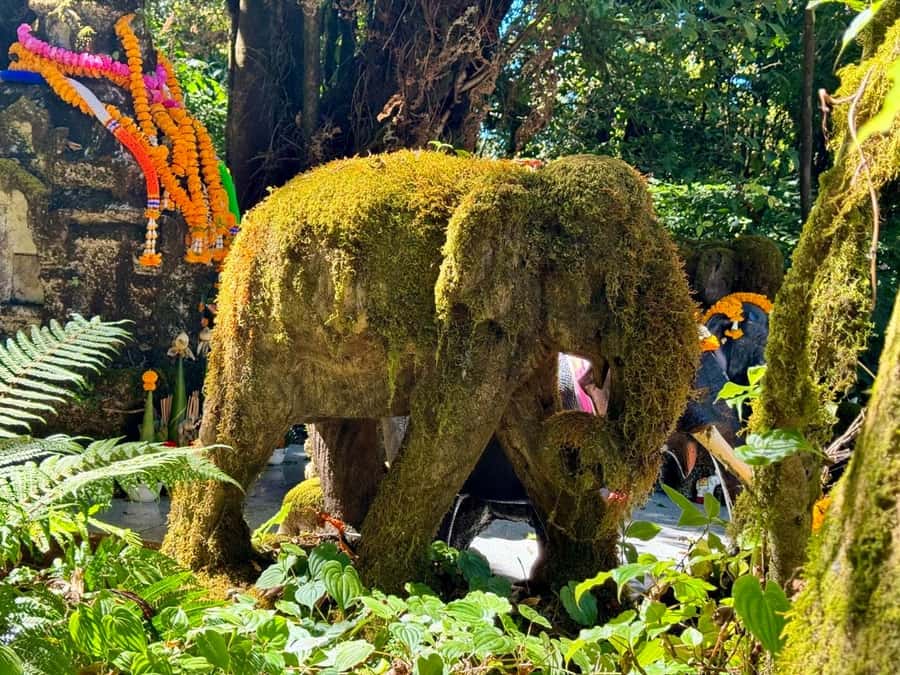 Chiang Mai Elephant Recovery Center, Doi Inthanon and Hiking - The hill-tribe market stop