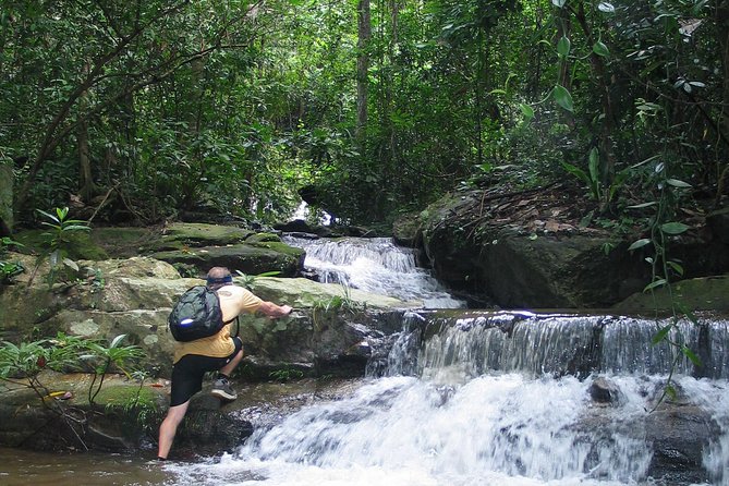 Chiang mai Hike & Downhill Bike Adventure –Suthep National Park - What this Chiang Mai adventure is really like