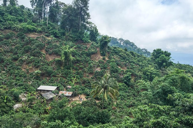 Chiang mai Hike & Downhill Bike Adventure –Suthep National Park - Cooling off at Huay Tueng Thao Lake