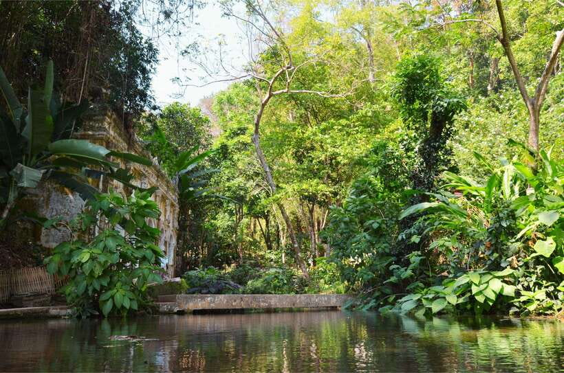 Chiang Mai: Hike on Monk’s Trail and Doi Suthep Private Tour - Golden-hour timing and the early-start question