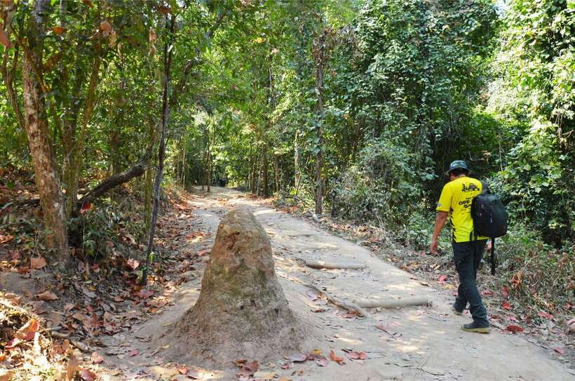 Chiang Mai: Hike on Monk’s Trail and Doi Suthep Private Tour - Is $57 a fair price?
