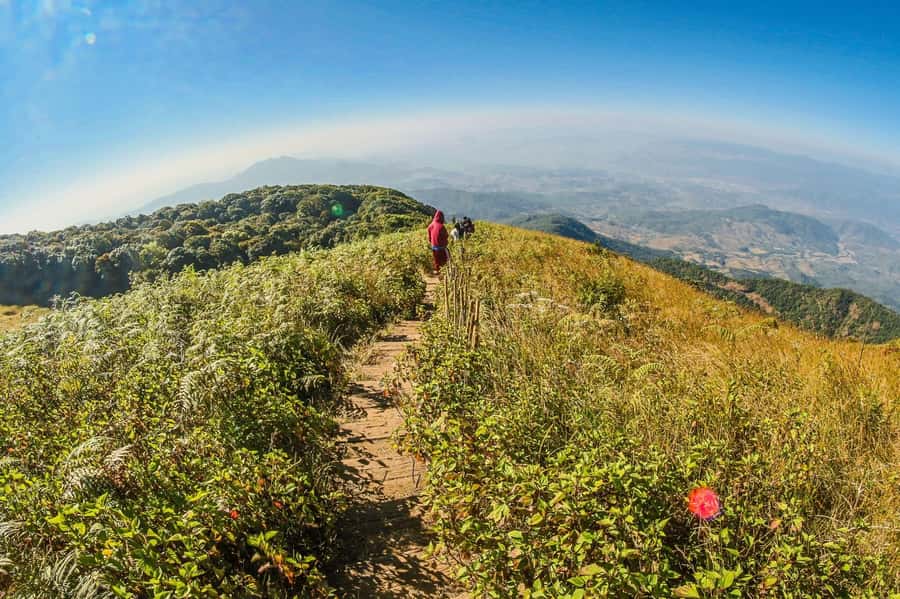Chiang Mai: Kew Mae Pan Nature Trail & Doi Inthanon Day Trip - Key points to know before booking