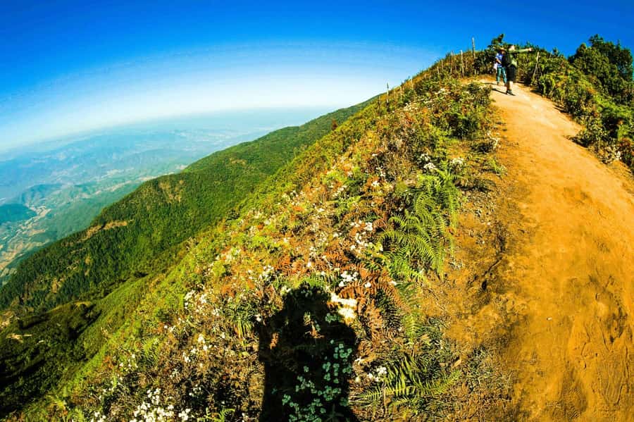 Chiang Mai: Kew Mae Pan Nature Trail & Doi Inthanon Day Trip - What the $54 price really covers