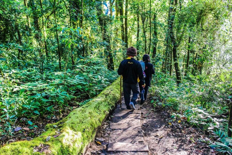 Chiang Mai: Kew Mae Pan Nature Trail & Doi Inthanon Day Trip - Transport, timing, and the pace of the day