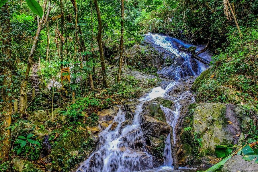 Chiang Mai: Pha Dok Siew Nature Trail & Doi Inthanon Trip - Reaching Thailand’s highest point