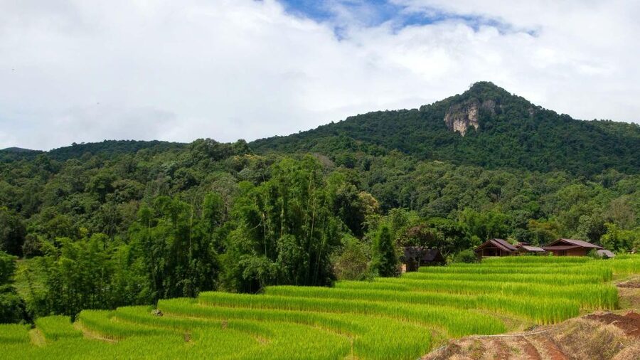 Chiang Mai: Pha Dok Siew Nature Trail & Doi Inthanon Trip - Shopping at the Hmong Tribal Market