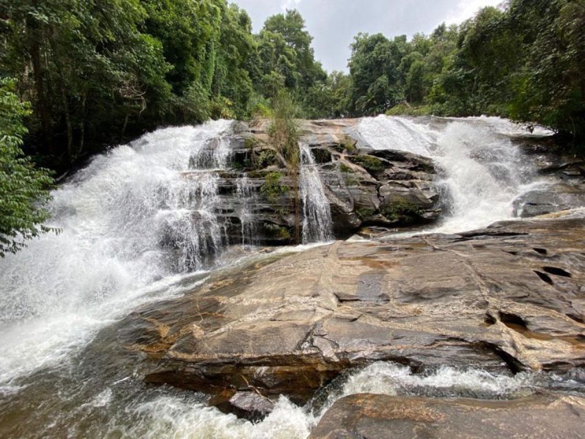 Chiang Mai: Pha Dok Siew Nature Trail & Doi Inthanon Trip - The morning pickup from Chiang Mai