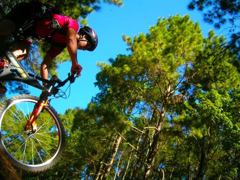 Chiang Mai: Suthep National Park Hiking & DH Mountain Biking - What this Doi Suthep adventure is really like