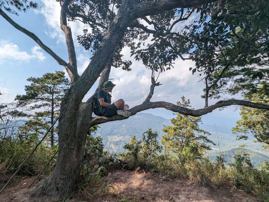 Chiangmai : Doi Pui Summit Hiking Experience - Why this hike works so well in Chiang Mai