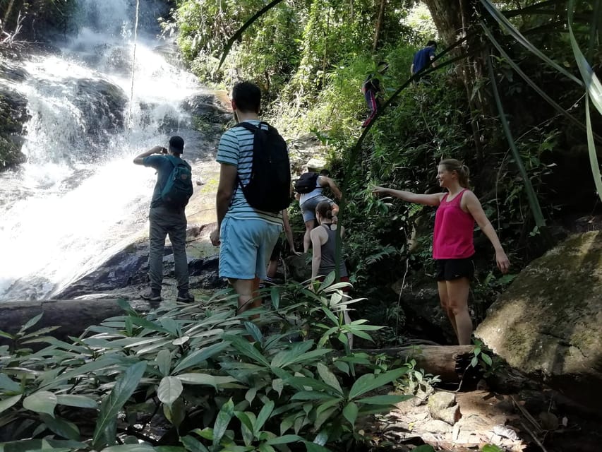 Chiangmai : Doi Pui Summit Hiking Experience - Doi Hua Moo and the summit views