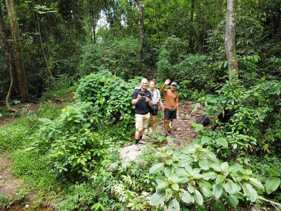 Chiangmai : Doi Pui Summit Hiking Experience - How difficult is the 13-kilometer route?