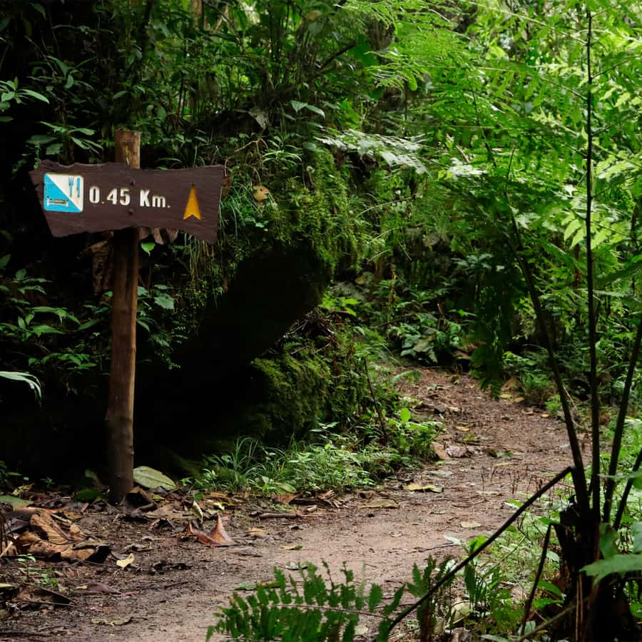 Chicaque Foggy Forest Hike - Key points to know before you book