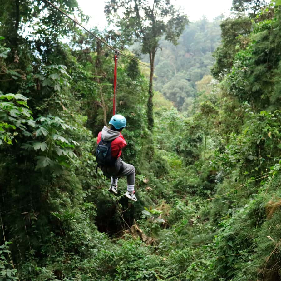Chicaque Foggy Forest Hike - Leaving Bogotá for Chicaque’s cool mountain air