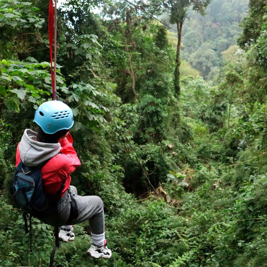 Chicaque Foggy Forest Hike - Guide quality can make or break the experience