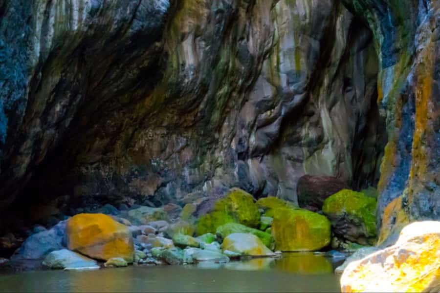 Cilaos: La Chapelle Hiking Experience - The French-speaking guide makes a real difference