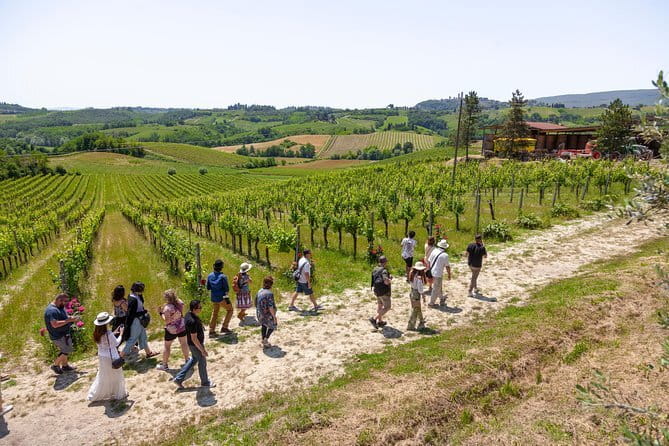 Cinque Terre Day Trip with Optional Hiking or Pisa - Walking toward Vernazza through the hills