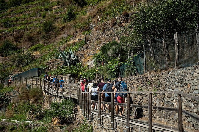 Cinque Terre Day Trip with Optional Hiking or Pisa - Corniglia and the 382-step climb
