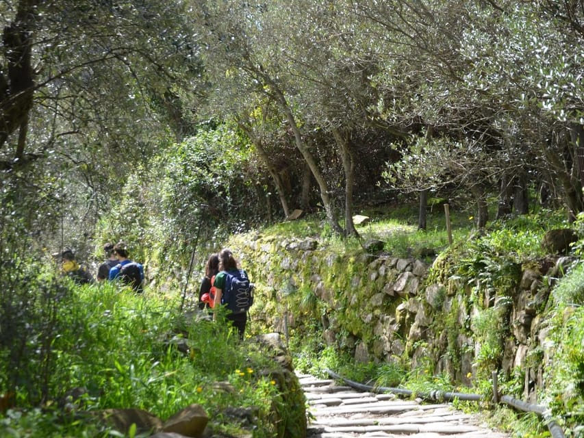 Cinque Terre: Eco Hiking and Wine Tasting - How hard is the Cinque Terre eco hike?