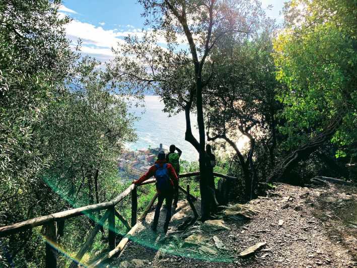 Cinque Terre: Eco Hiking and Wine Tasting - Meeting in Corniglia at 9:45