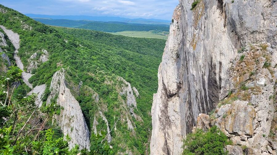 Cluj Napoca: Climbing or Hiking Experience in Turda Canion - Is this a good first via ferrata?