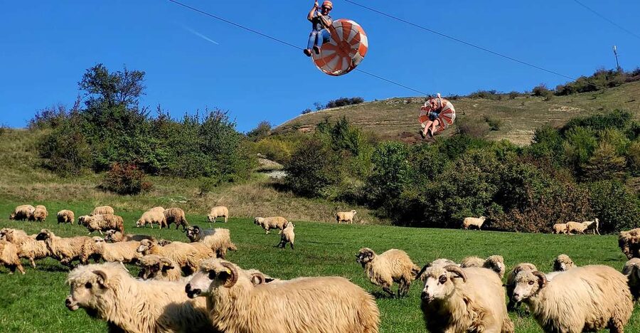 Cluj: Outdoor Activities Day Trip with Zip Line and Hike - Key points at a glance