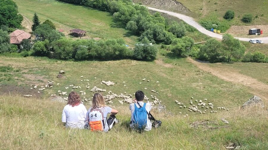 Cluj: Outdoor Activities Day Trip with Zip Line and Hike - Who should book this experience?