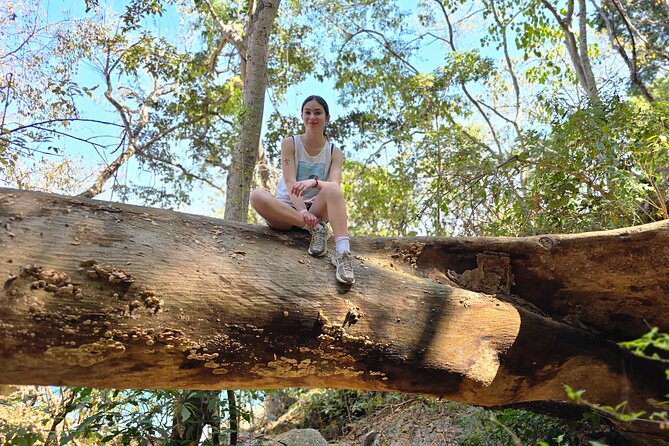 Coastal and Jungle Hiking Tour along 6 Beaches of Puerto Vallarta - Boca de Tomatlan’s trail into the jungle