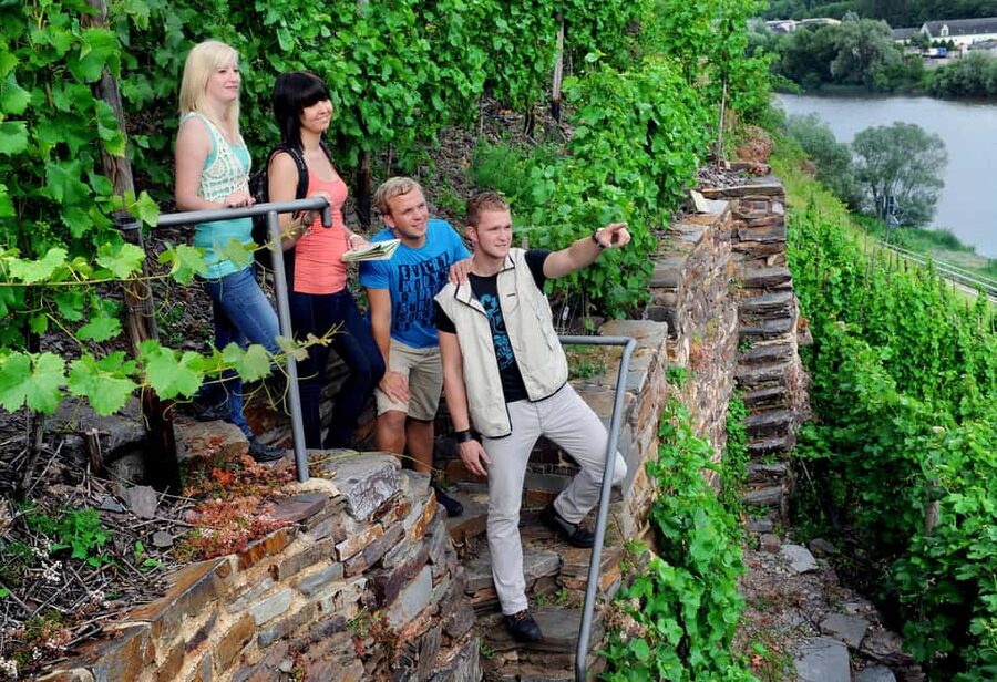 Cochem, Moselle: Wine experience hike with boat trip - Key points to know before booking