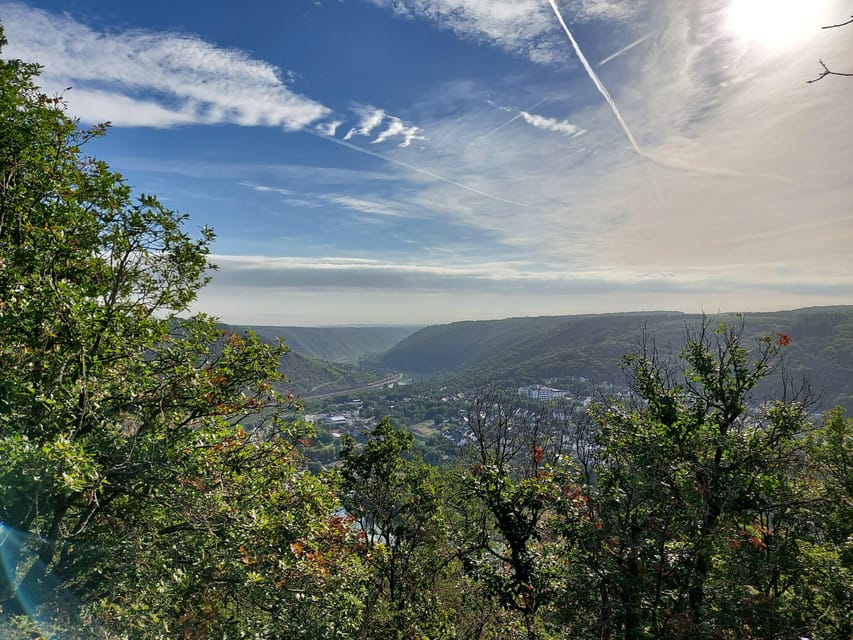 Cochem, Moselle: Wine experience hike with boat trip - Why this Moselle wine outing feels different