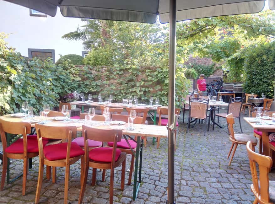 Cochem, Moselle: Wine experience hike with boat trip - What you learn among the grapevines