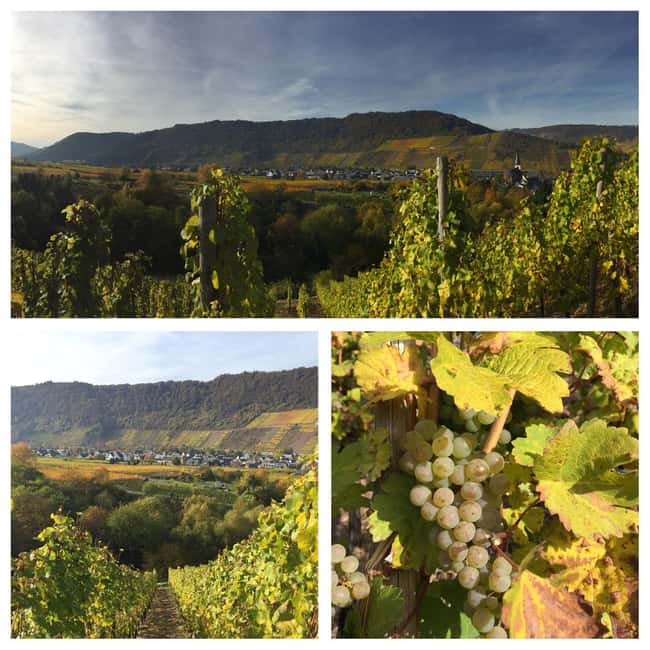 Cochem, Moselle: Wine experience hike with boat trip - The return bus and the pace of the afternoon
