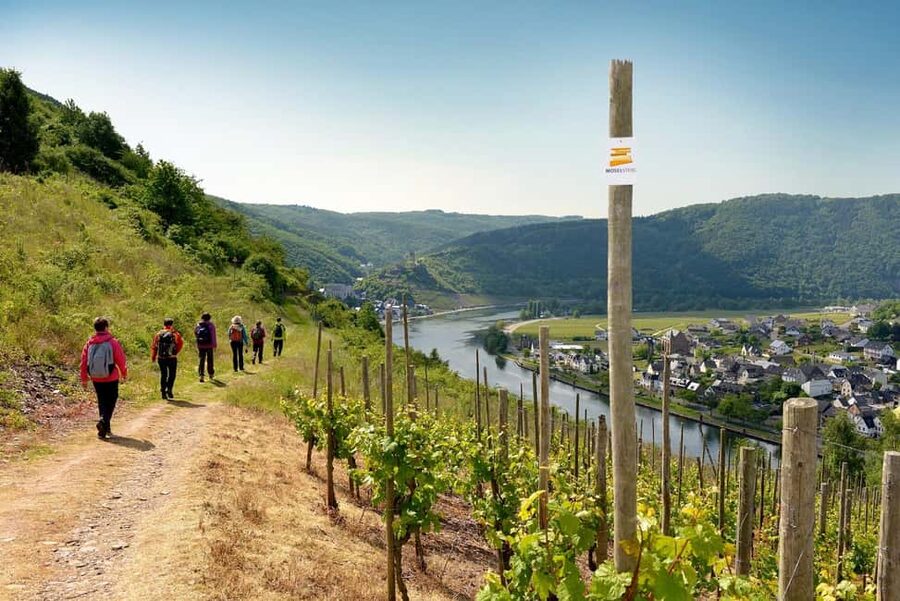 Cochem, Moselle: Wine experience hike with boat trip - The 20-minute boat ride from Cochem to Bruttig