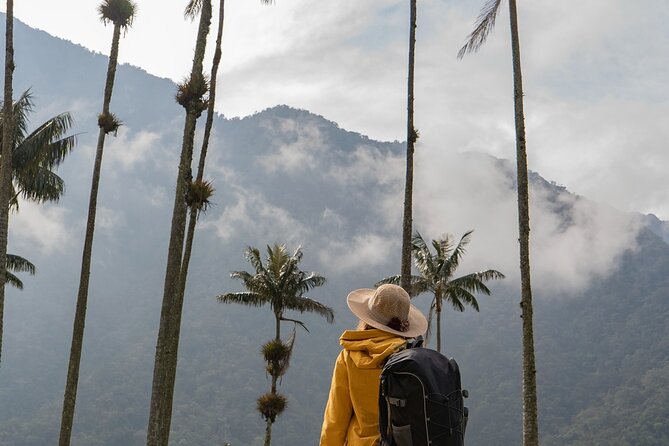 Cocora Valley and Salento Hike Tour - Hotel pickup makes the $99 price easier to understand