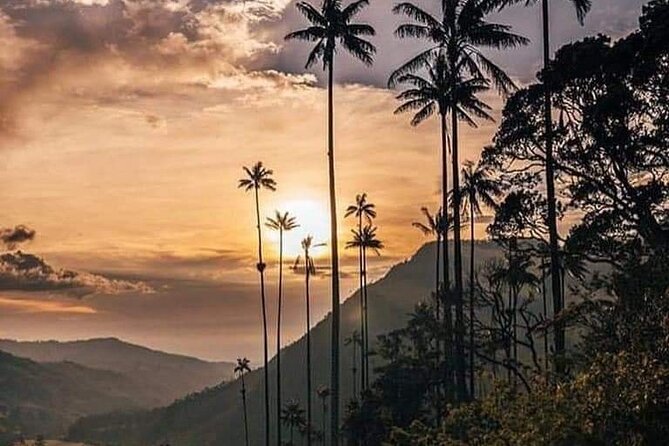 Cocora Valley and Salento Hike Tour - Who will get the most from this tour