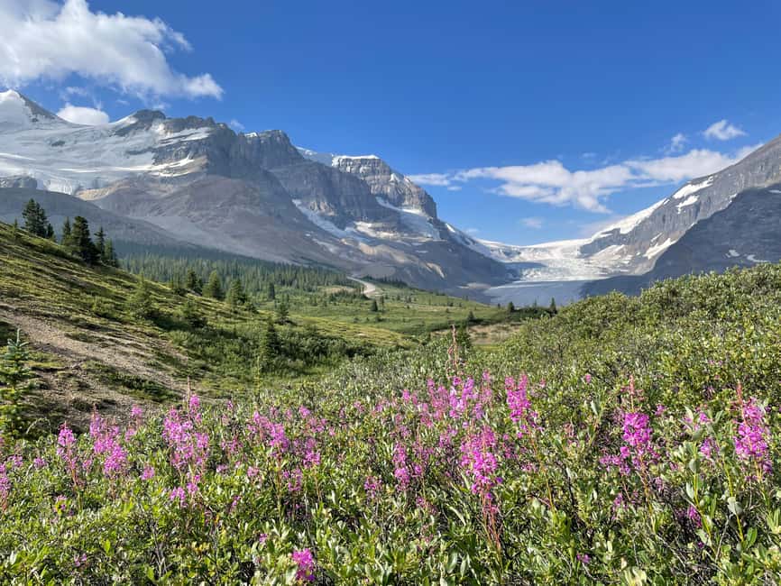 Columbia Icefield: Guided Glacier Hike - Key points to know before you book