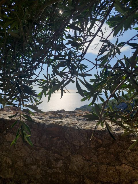 Corfu: Hiking in Olive Groves,Village,Sunset,with Swim Stop - A coastal walk that shows Corfu beyond the beach resorts