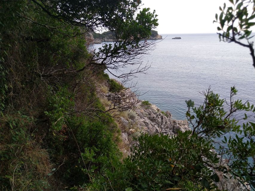 Corfu: Hiking in Olive Groves,Village,Sunset,with Swim Stop - Who should book this Corfu hike?