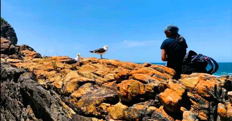 Costal Hiking Sacramento Trail: Port Elizabeth - Why the Sacramento Trail feels different