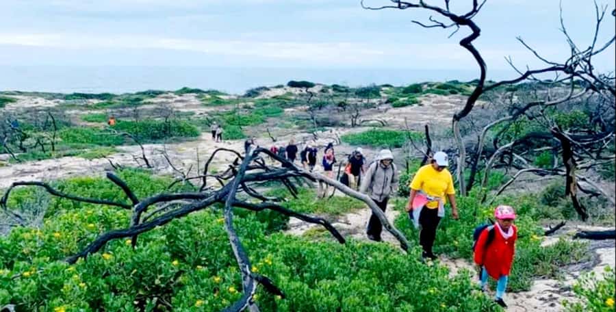 Costal Hiking Sacramento Trail: Port Elizabeth - Dune-top paths and wide ocean views