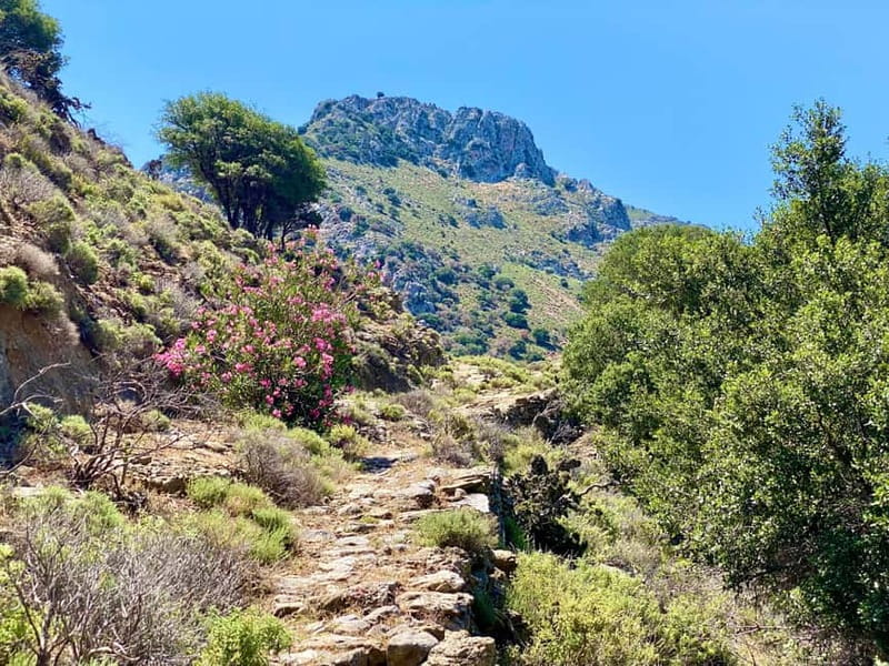 Crete: Kavousi Canyon Guided Hike & Beach Swim - Why this Kavousi outing feels different