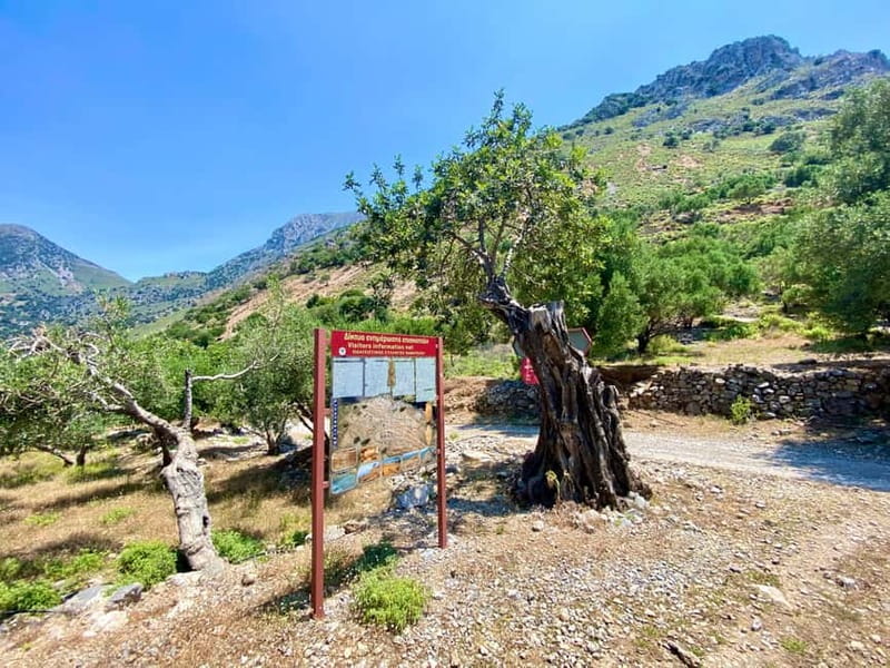 Crete: Kavousi Canyon Guided Hike & Beach Swim - The descent and return toward Kavousi