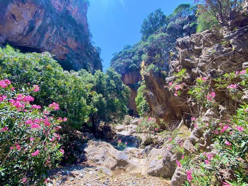 Crete: Kavousi Canyon Guided Hike & Beach Swim - Tholos Beach after the hike