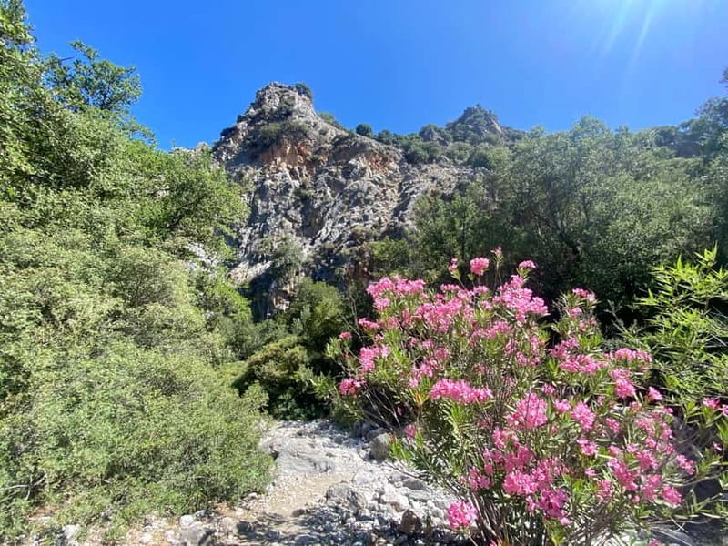 Crete: Kritsa Canyon Guided Hiking Tour - Why Kritsa Canyon makes a good active day