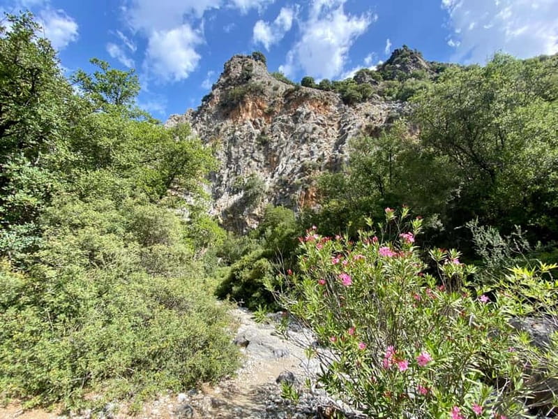 Crete: Kritsa Canyon Guided Hiking Tour - A snack break that earns its place