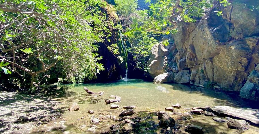 Crete: Richtis Gorge & Waterfall Guided Hiking Tour - Plants, animals, mills, and small bridges