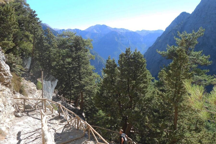 Crete: Samaria Gorge Hiking with transfer and expert Escort - From the Omalos Plateau into Samaria Gorge