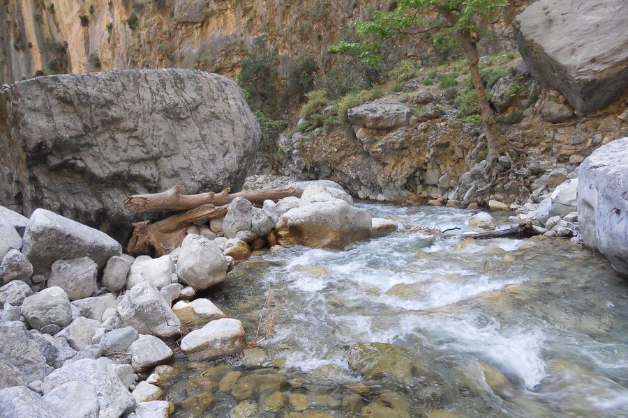 Crete: Samaria Gorge Hiking with transfer and expert Escort - Who should book this Crete hike?