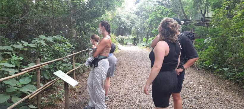 Cuc Phuong National Park Hiking Tour - Key points to know before booking